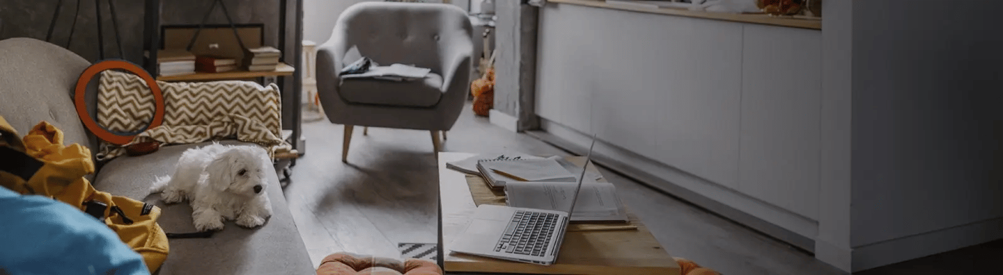 hero-desktop-kerrostalo-koira-sohvalla