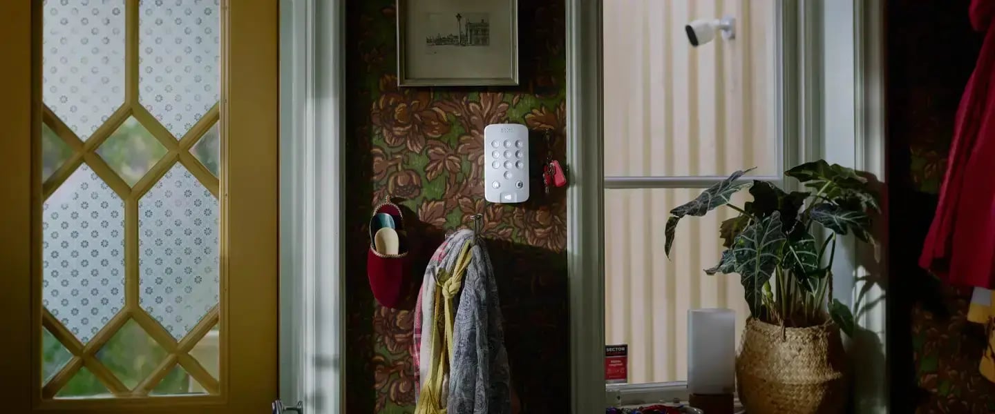 hero-desktop-tammiale