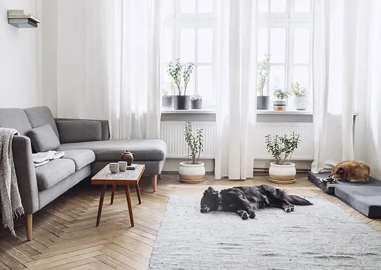 Kuorisuojaus on täydellinen turvaratkaisu lemmikkikotiin