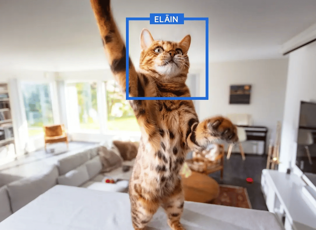 Valvontakameramme hyödyntävät älykästä videoanalytiikkaa