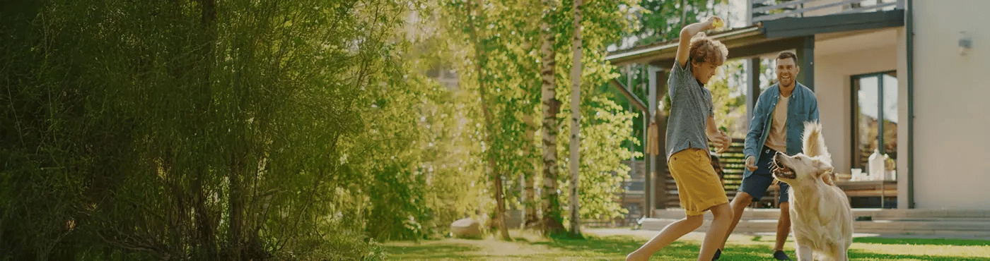 hero-desktop-kesakampanja-sales