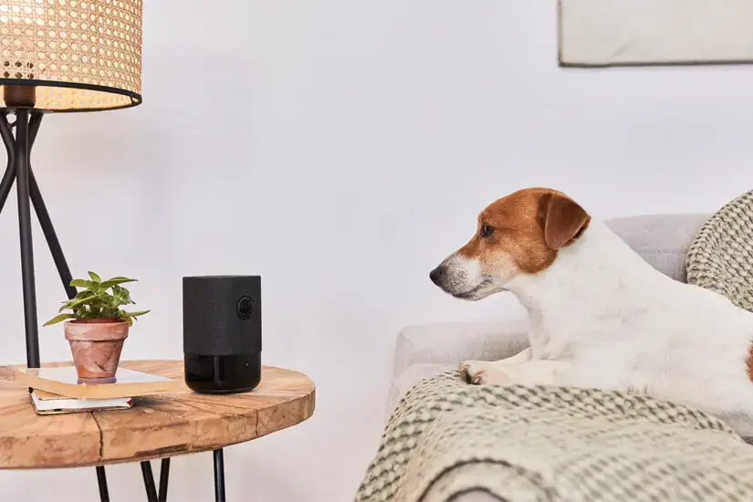 Kuinka valitsen kotiini sopivan hälytysjärjestelmän? Lue 6 vinkkiä!