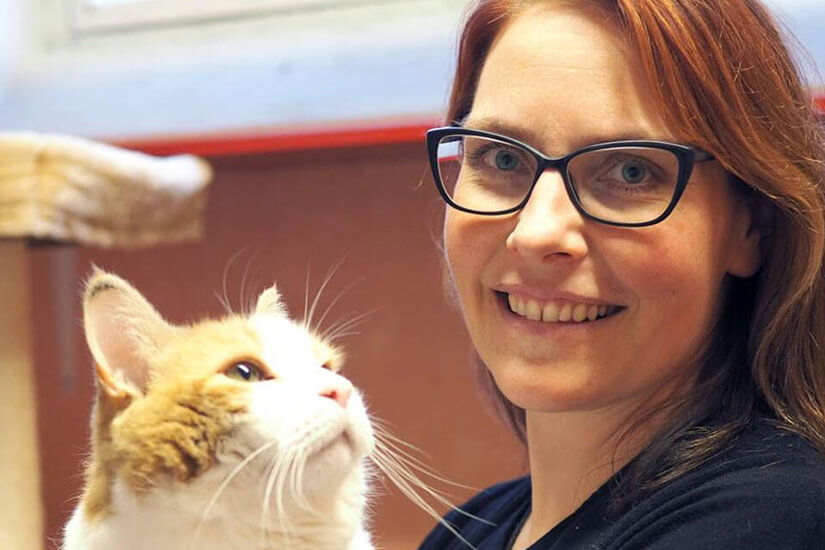 Kodittomien kissojen turvakoti on suojattu tulipaloilta